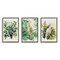 Stupell Industries Tropical Parrots in Jungle 3 pc Framed Floater Canvas Wall Art Set Design by LSR Design Studio